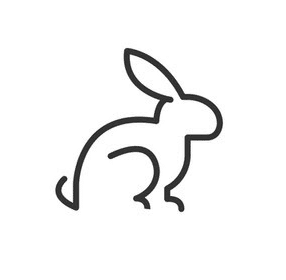 rabbit